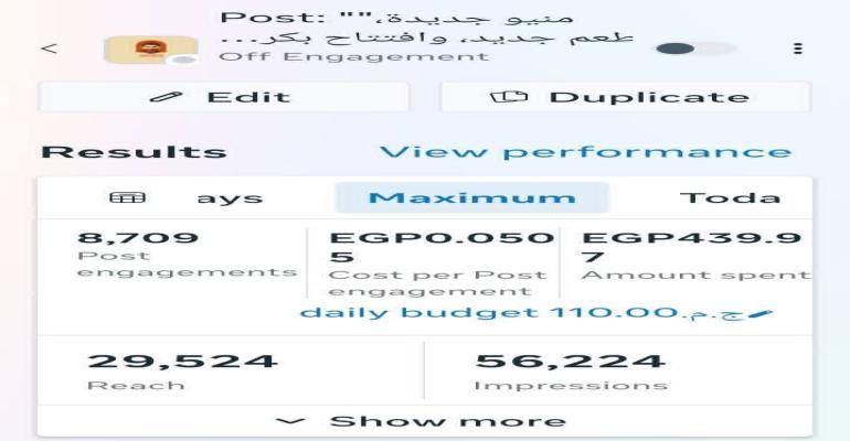 I will manage your paid ads and help grow your business with strategic media buying
