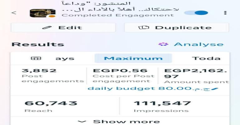 I will manage your paid ads and help grow your business with strategic media buying